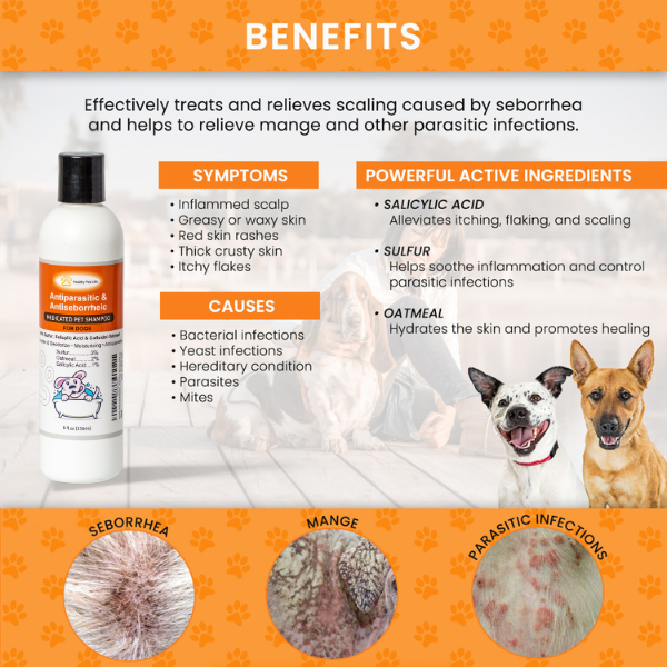 Benefits- Sulfur Salicylic Acid Oatmeal Dog Shampoo