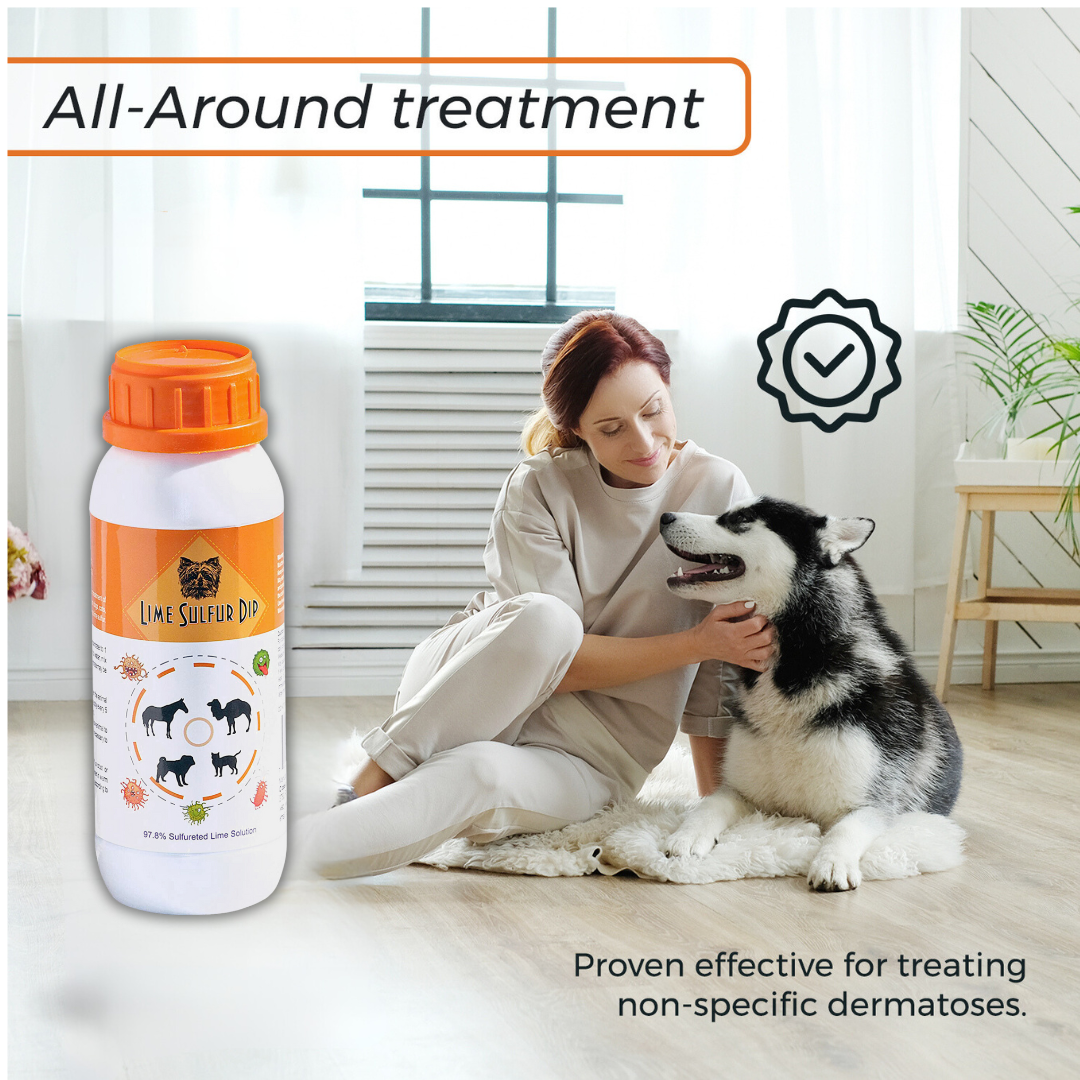 Powerful pet care combo: Lime Sulfur Dip & Sulfur Salicylic Acid Shampoo
