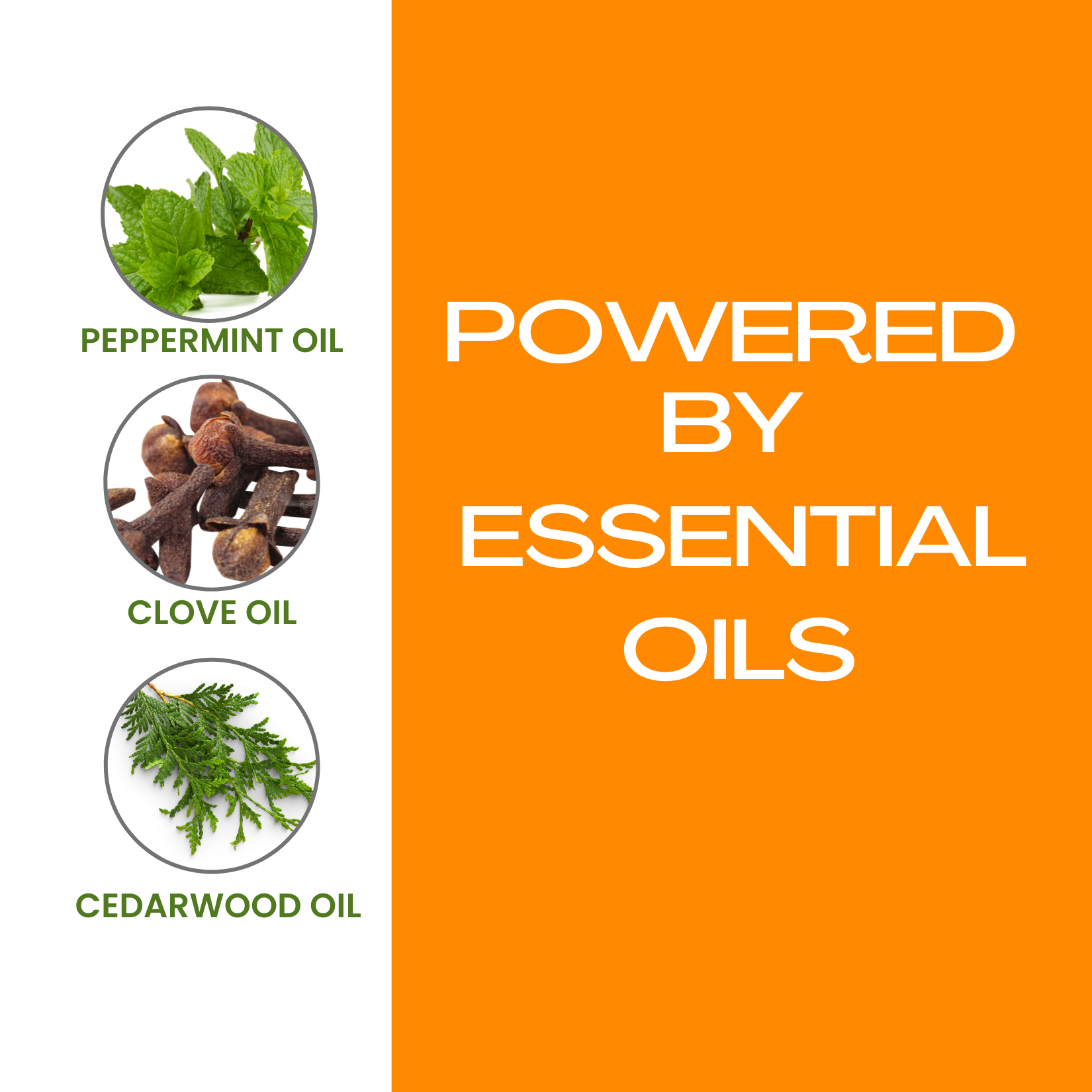 Flea and Tick Spray Ingredients