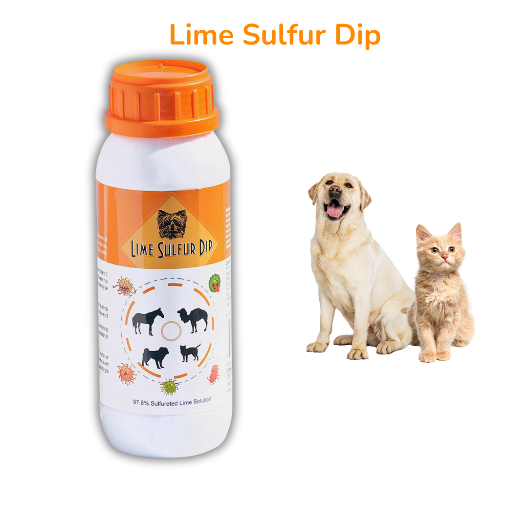 Powerful pet care combo: Lime Sulfur Dip & Sulfur Salicylic Acid Shampoo