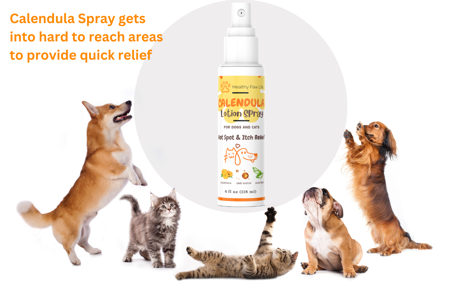 Calendula Lotion Spray for Dogs and Cats by Healthy Paw Life