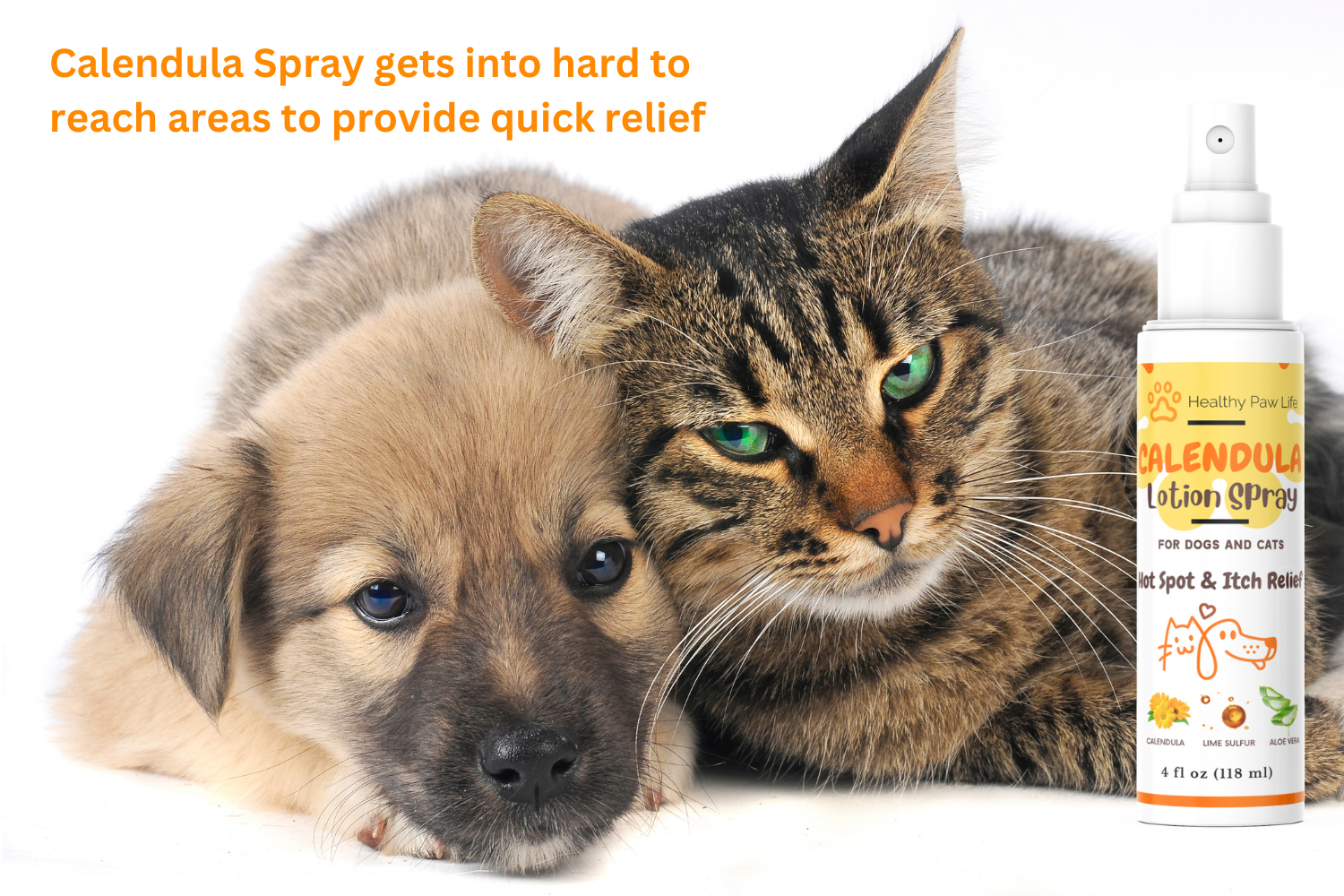 Calendula Lotion Spray for Dogs and Cats by Healthy Paw Life