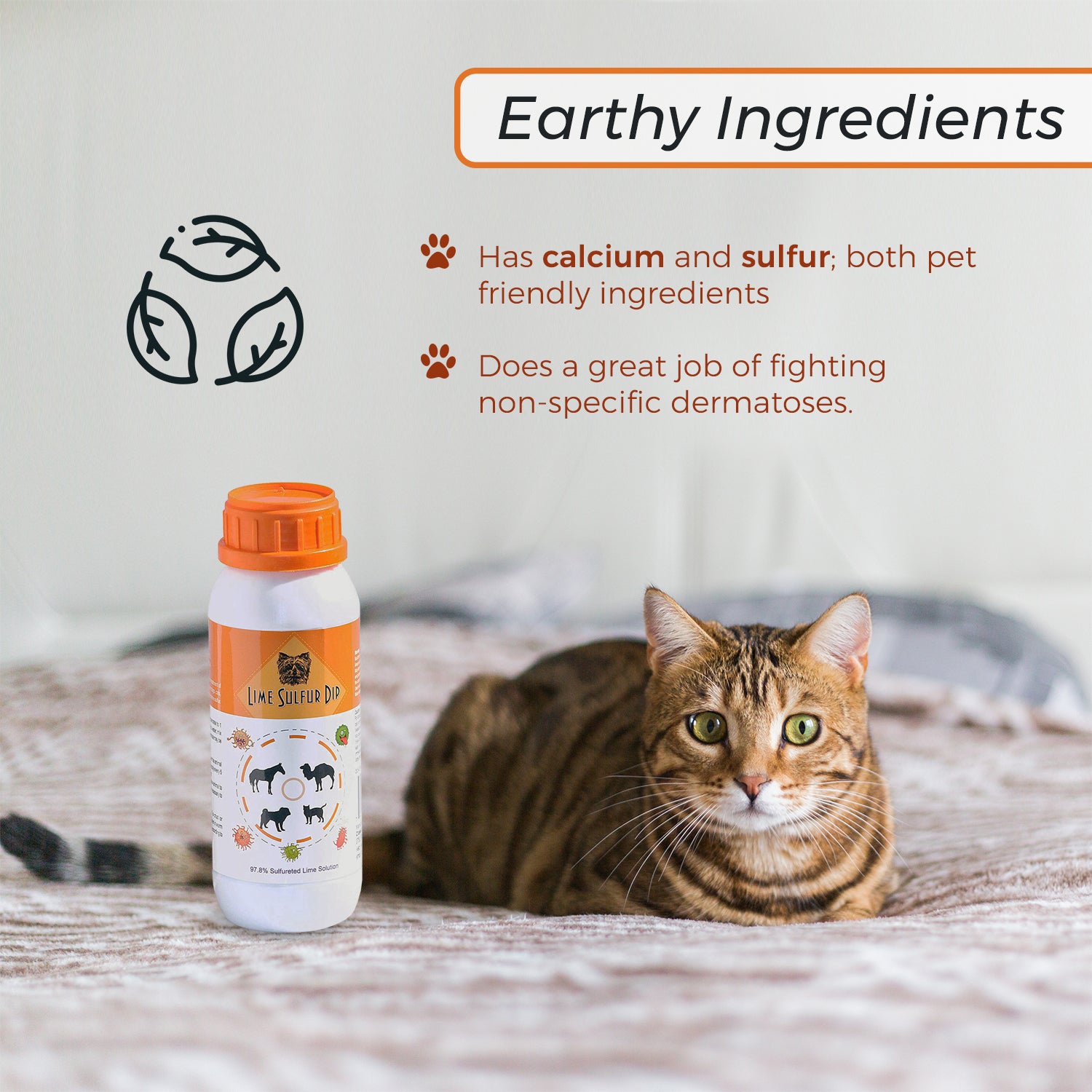 An image titled 'Earthy Ingredients' highlighting that the product contains calcium and sulfur, which are pet-friendly ingredients, and is effective in fighting non-specific dermatoses.