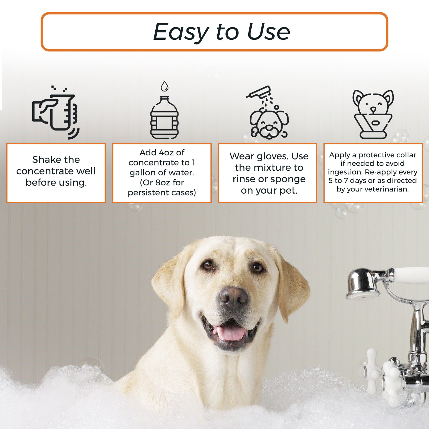 A happy golden retriever sits in a bubble-filled bathtub, with step-by-step instructions for using a pet care solution displayed above. The text explains how to shake the concentrate, mix it with water, wear gloves, and apply the mixture, along with recommendations for using a protective collar and reapplying as needed. The design includes simple icons illustrating each step.