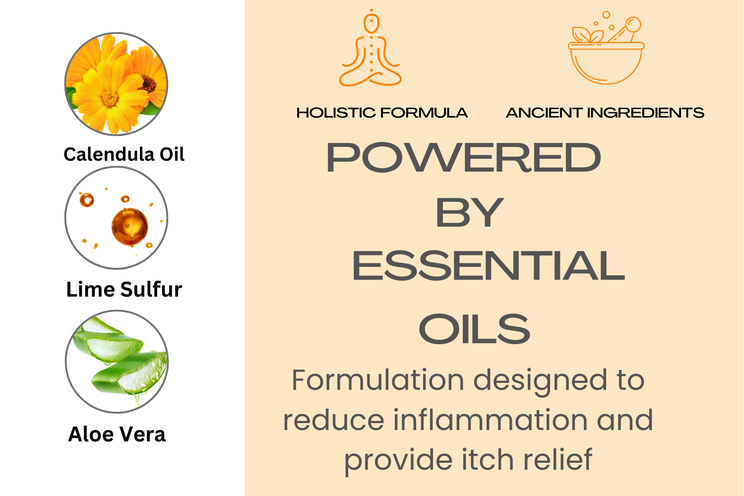 Calendula Lotion Spray for Dogs and Cats by Healthy Paw Life