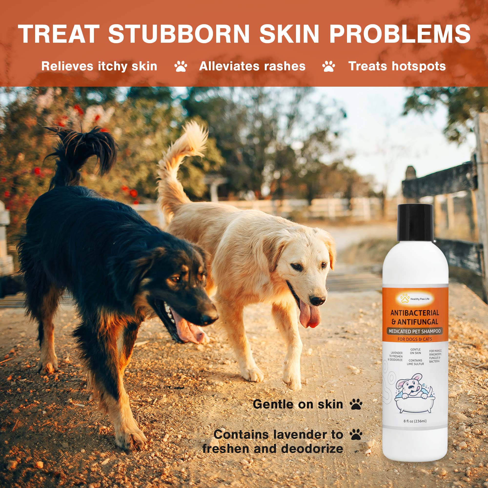 Best Shampoo for Pet | Pet Shampoo & Spray | Healthy Paw Life