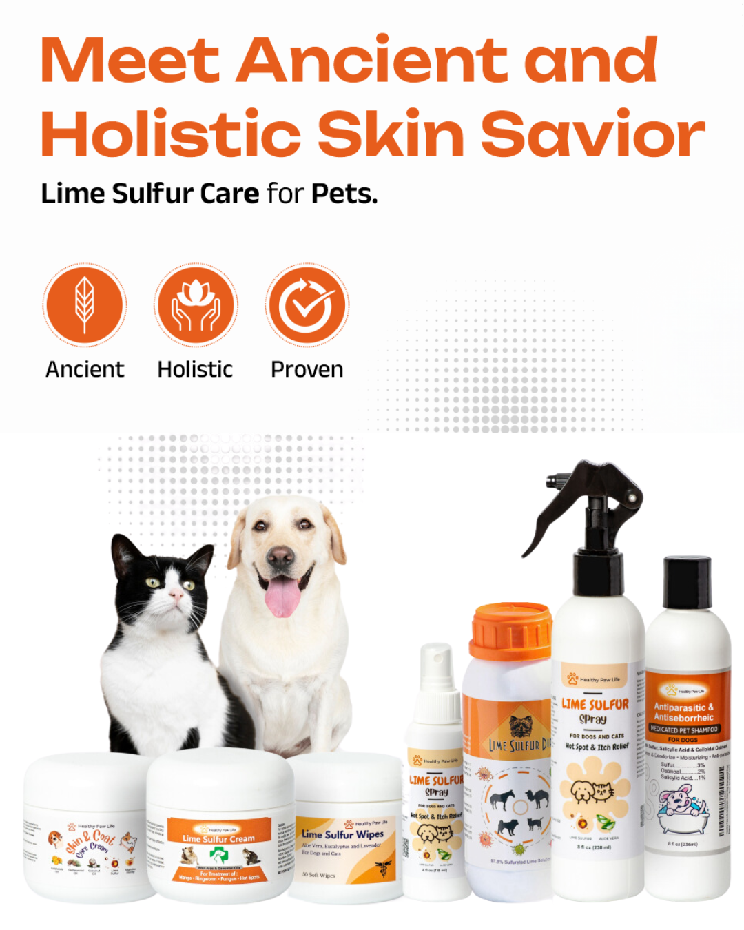 Healthy Paw Life Website Products Banner