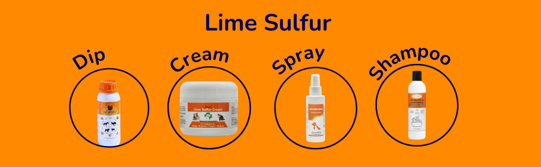 Lime Sulfur products displayed on an orange background, including Dip, Cream, Spray, and Shampoo, each shown in a circular frame.