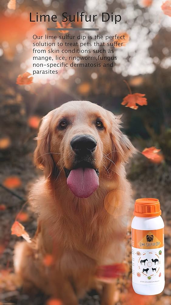 Golden retriever with Lime Sulfur Dip bottle; product treats pet skin issues like mange, lice, ringworm, fungus, and parasites naturally.