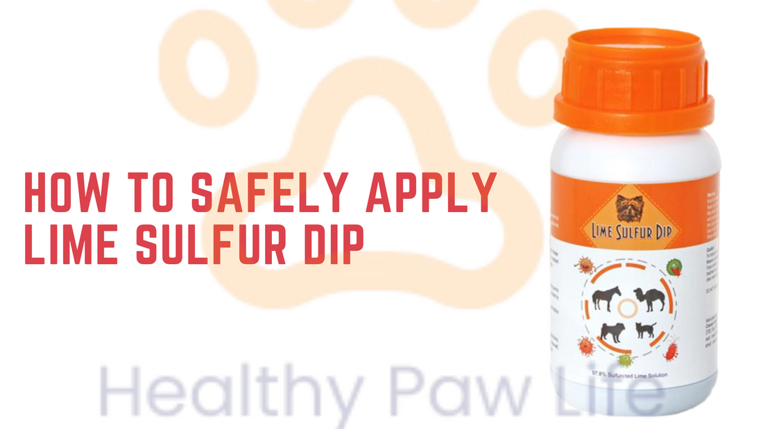 How to Safely Apply Lime Sulfur Dip