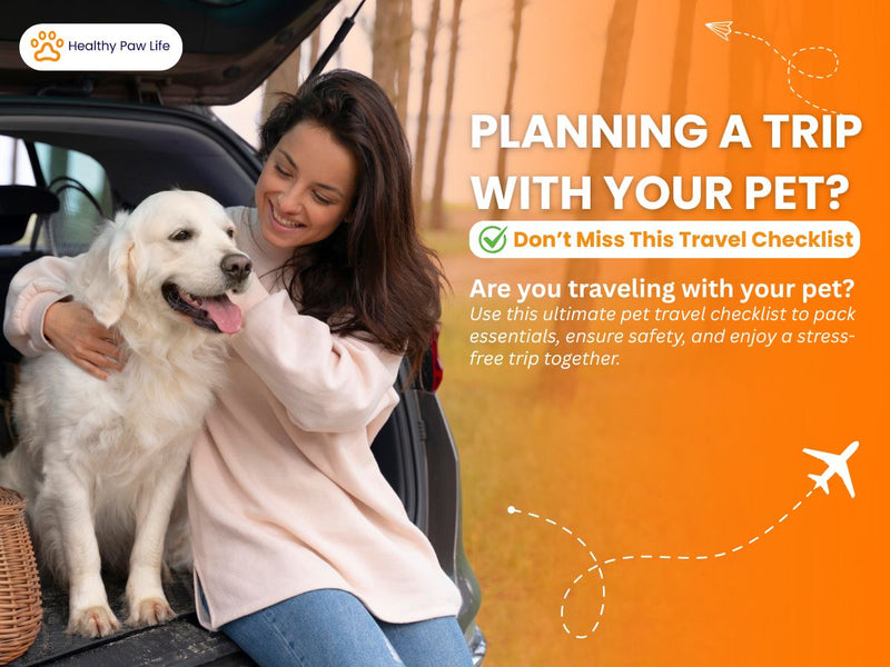 The Ultimate Pet Travel Checklist: Everything You Should Pack Before You Go