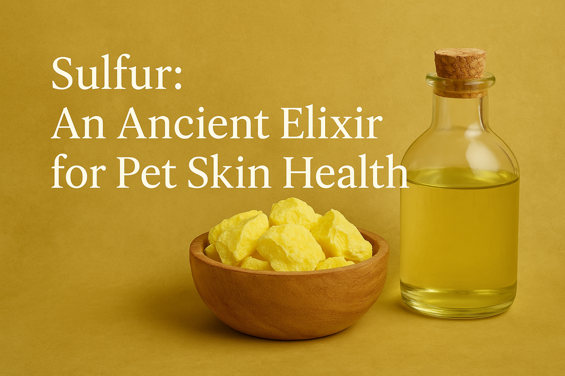 Sulfur chunks and sulfur oil blend for pet skin health on yellow background.