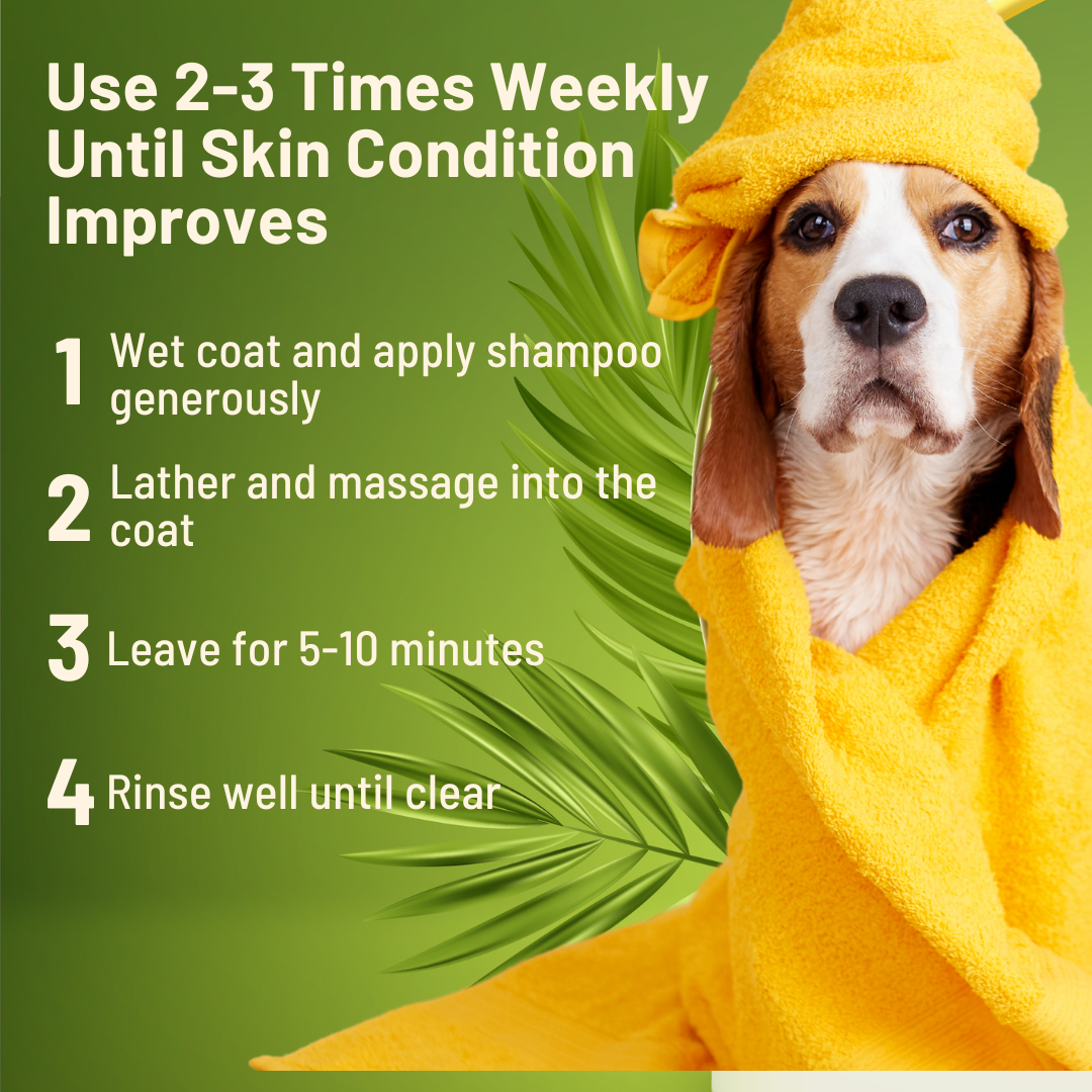 How To Use - Sulfur & Neem Restorative Shampoo with Oatmeal