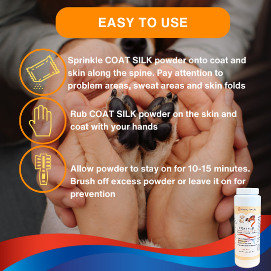 Image showcasing Premium Coat Silk for Pets – Shiny, Strong & Soft Fur – Healthy Paw Life