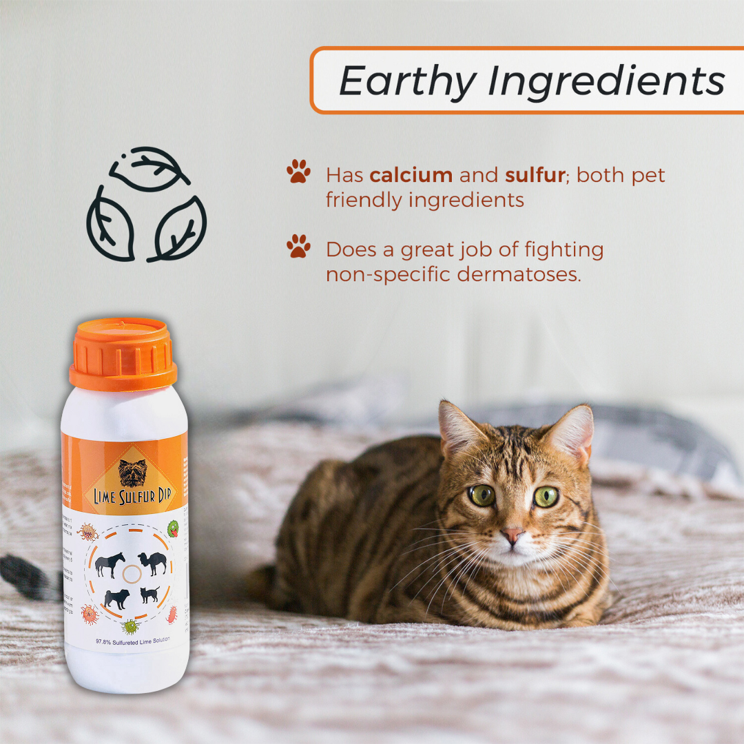 Powerful pet care combo: Lime Sulfur Dip & Sulfur Salicylic Acid Shampoo