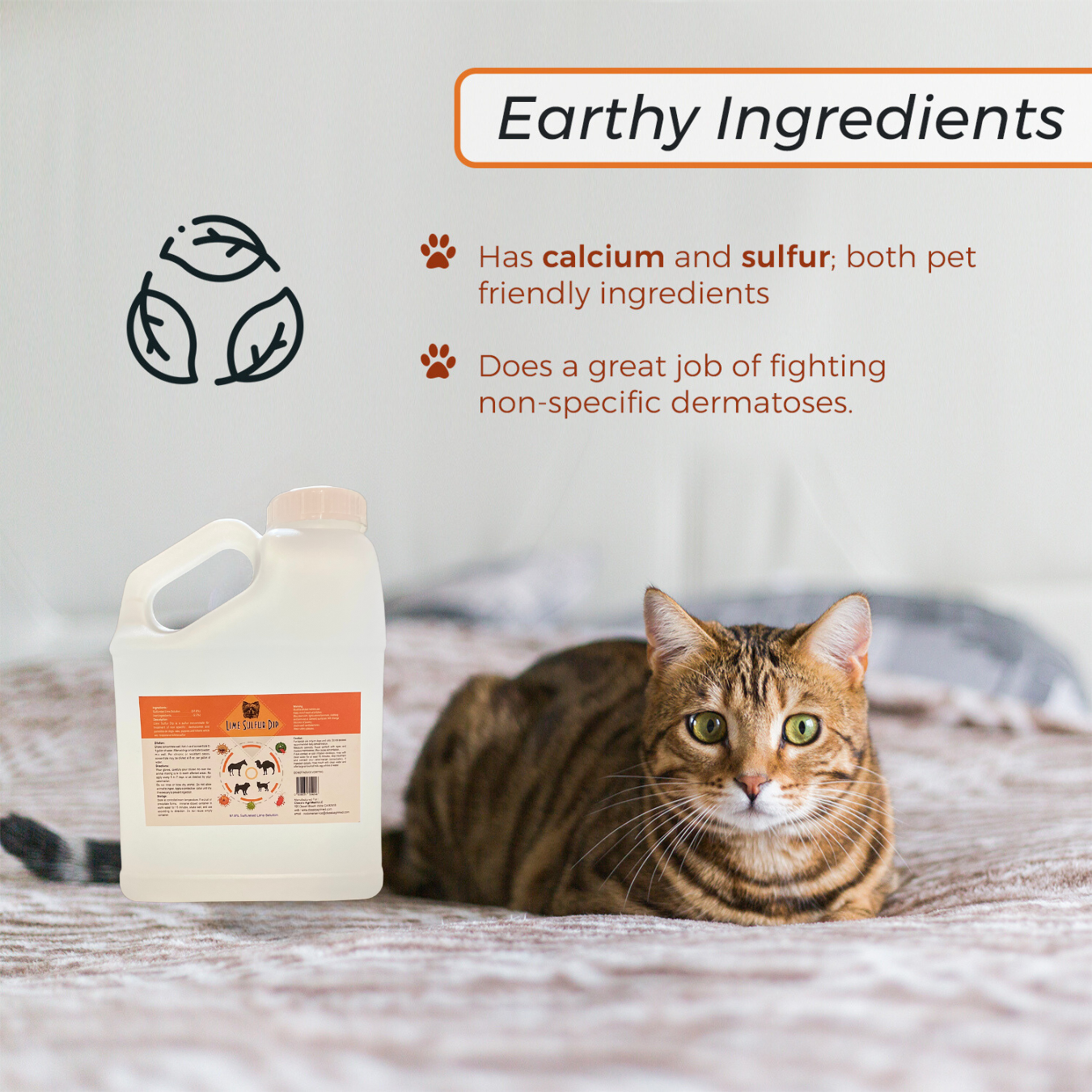 Lime Sulfur Dip & Acid Dog Shampoo: 1 Gal Each