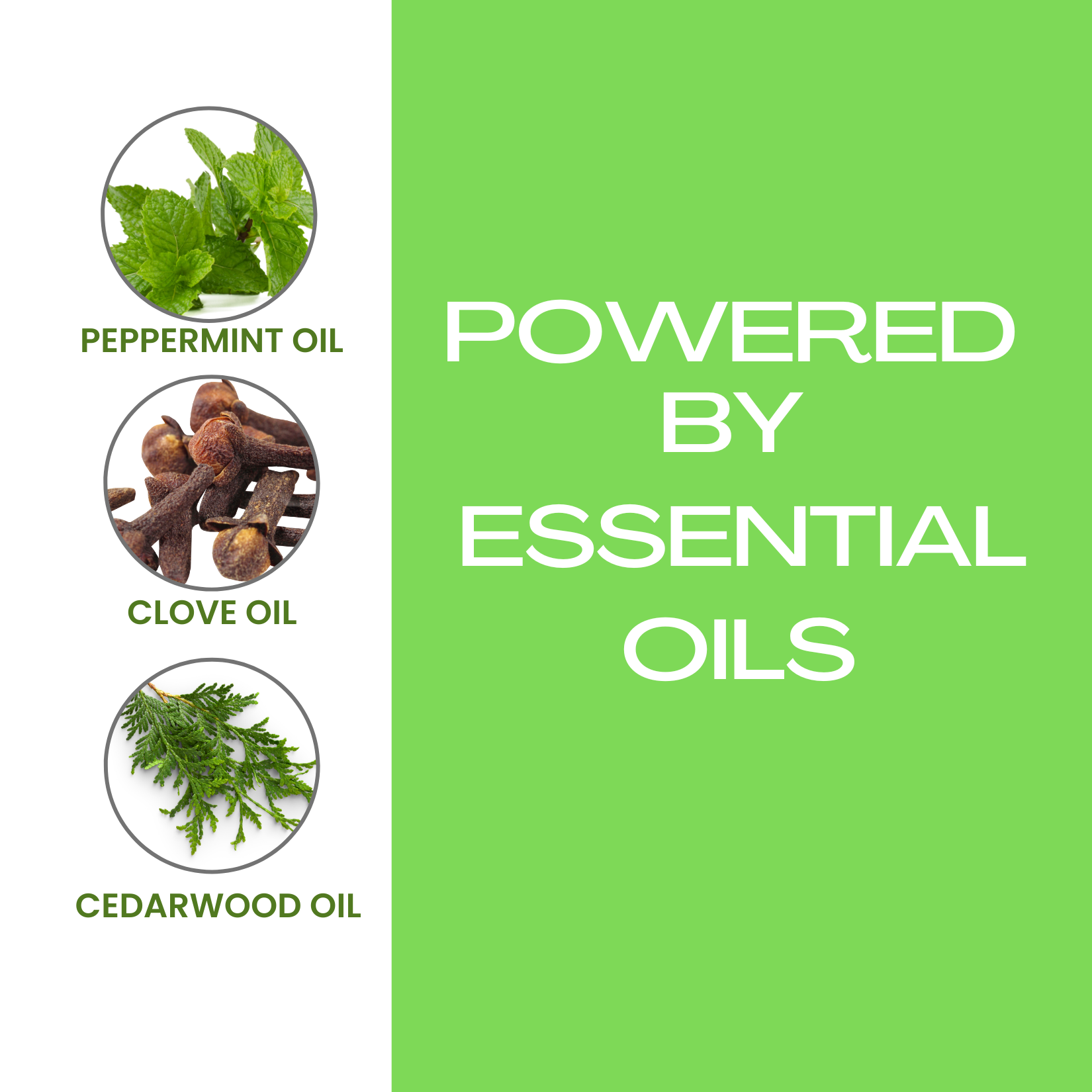 Flea and Tick Shampoo for Pets