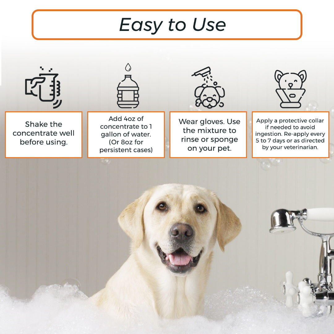 Powerful pet care combo: Lime Sulfur Dip & Sulfur Salicylic Acid Shampoo