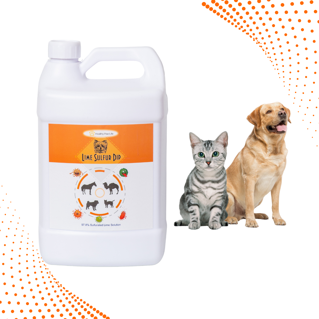 Lime Sulfur Dip – Concentrated Sulfur Solution for Itchy Skin, Mange, Ringworm & Dermatitis – Safe for Dogs, Cats, Puppies, Kittens, Horses, and Livestock