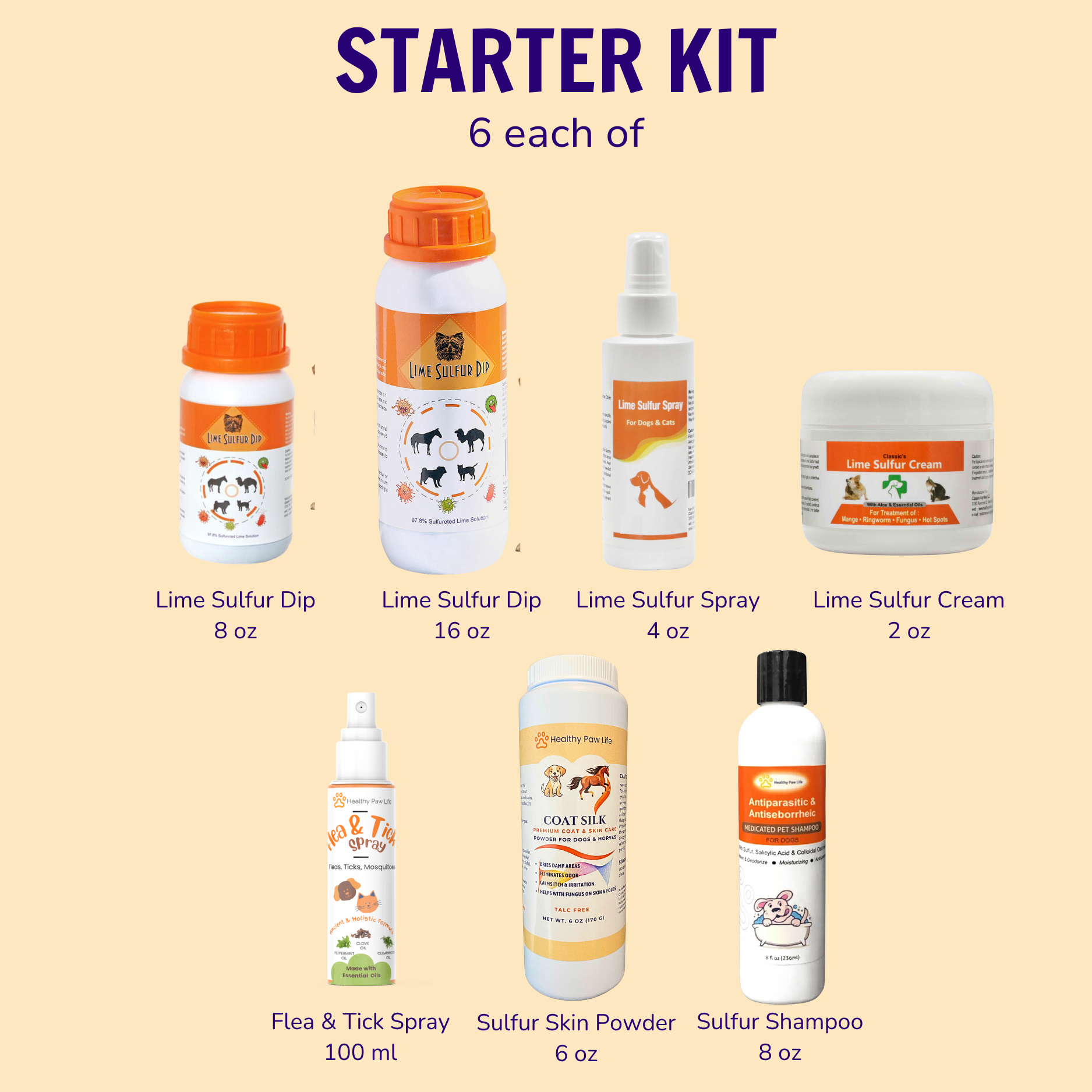 Retailer Starter Kit - 6 each of key products