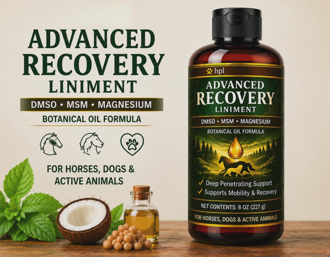 Advanced Recovery Liniment for Horses, Dogs & Active Animals | Veterinary Liniment Gel | DMSO, MSM, Magnesium & Castor Oil Liniment for Joint & Muscle Pain