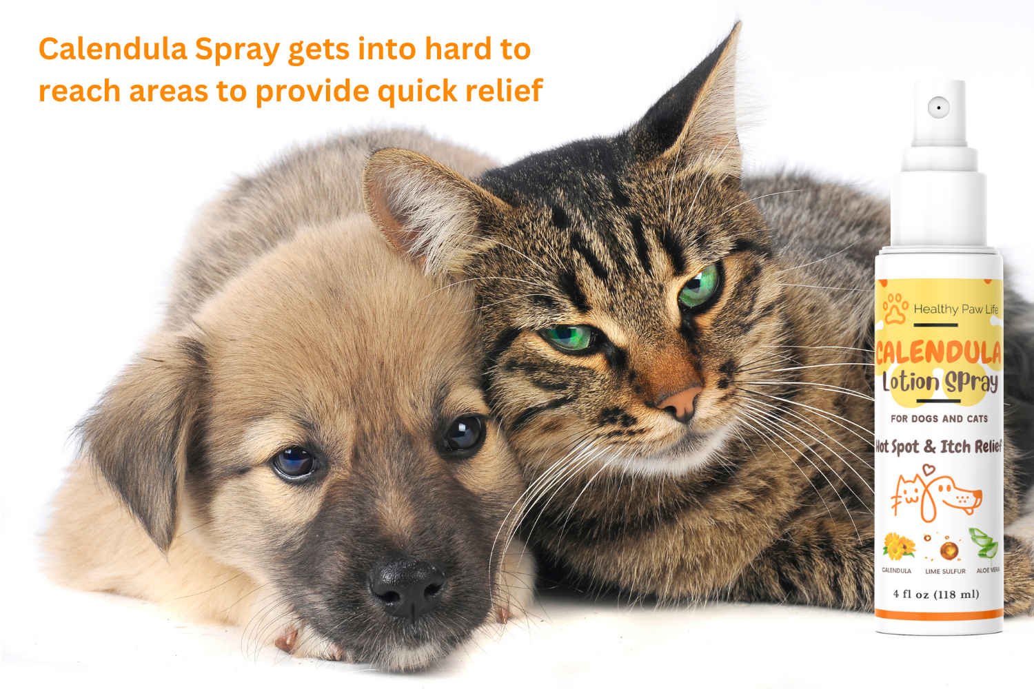 Calendula spray 2024 for dogs