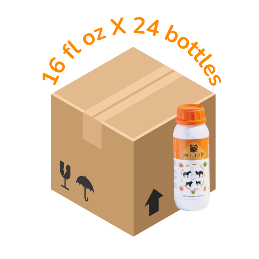 An illustration of a brown cardboard shipping box with fragile and handling symbols on the side. Next to the box is a white bottle with an orange cap and a pet-related label. Above the box, the text '16 fl oz X 24 bottles' is written in an orange curved font.