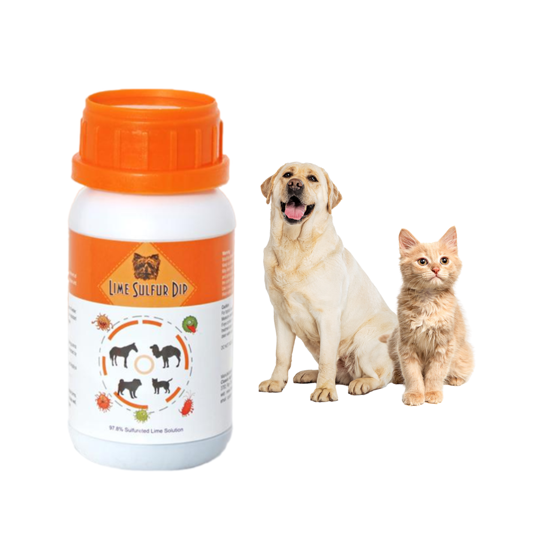 Image of a Lime Sulfur Dip bottle alongside a Labrador Retriever and an orange tabby cat, indicating the product's intended use for pets such as dogs and cats.